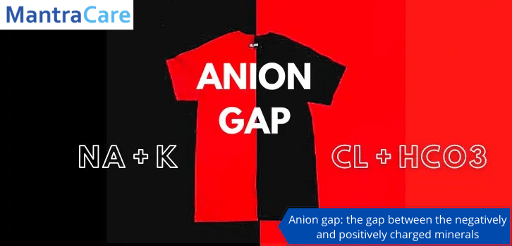 Anion gap the gap between the negatively and positively charged minerals (1)