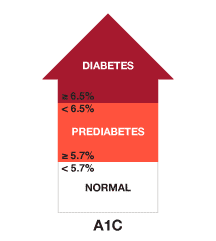 prediabetes normal range