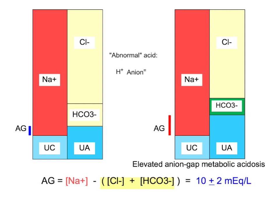 Serum Anion Difference