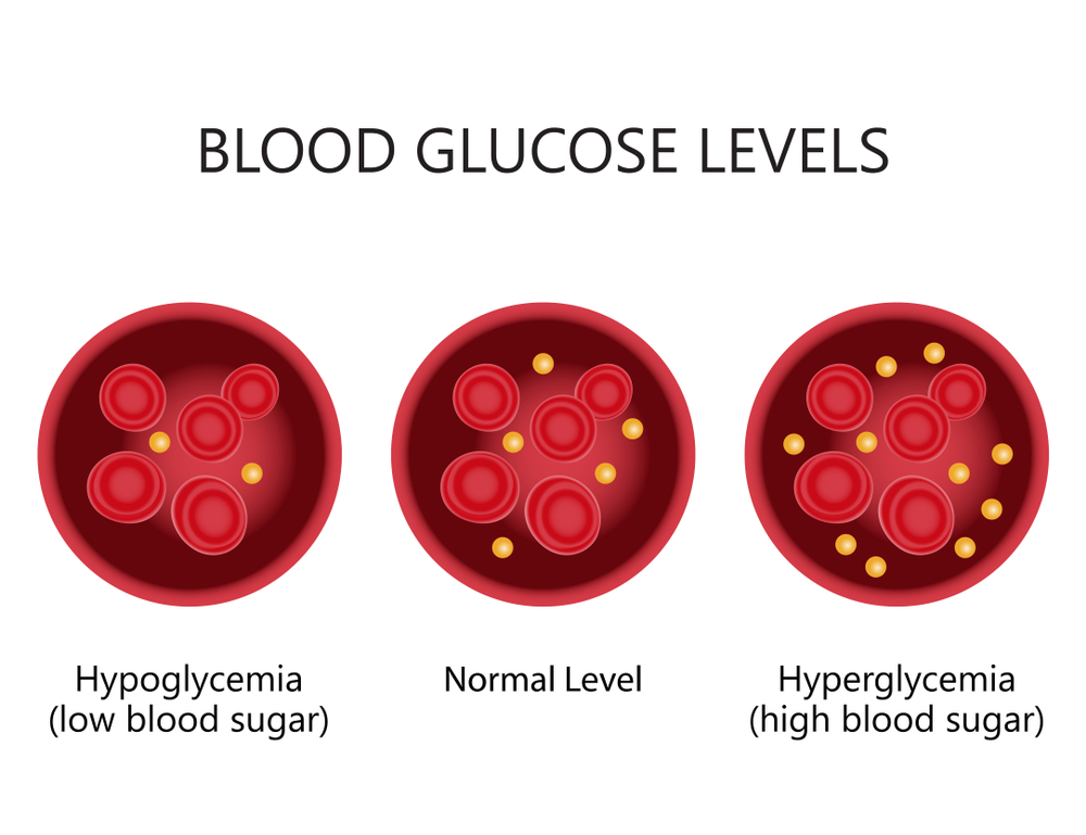 Normal Sugar Blood Glucose Levels Chart