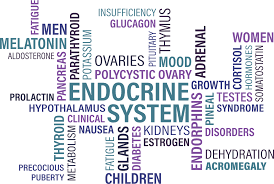 causes of endocrine disorders