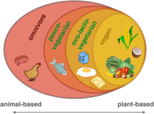 types of vegan