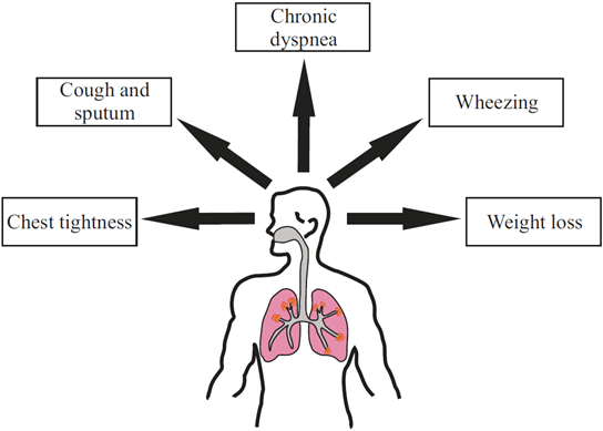 Chronic Obstructive Pulmonary Disease