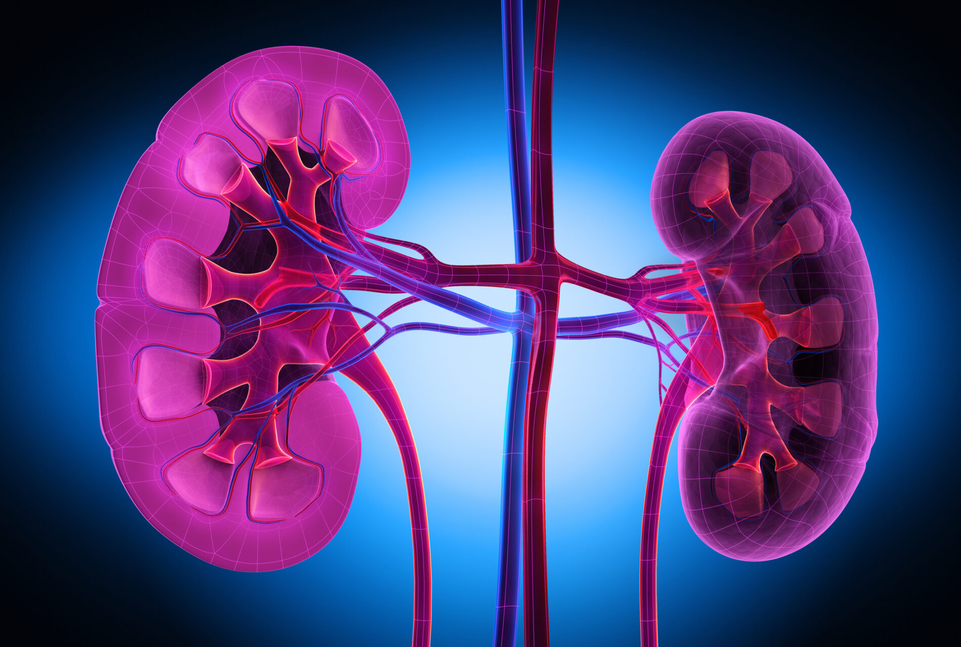 Diabetic Nephropathy Stages Symptoms Causes Treatment