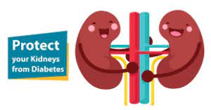 How Diabetes Affects Kidneys