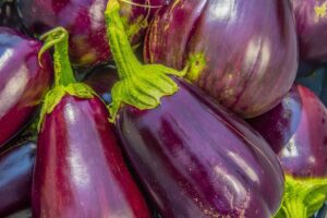 brinjal best foods for diabetics