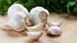 garlic - top vegetable for diabetes