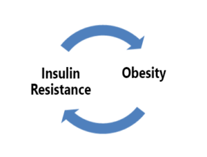 insulin resistance and obesity