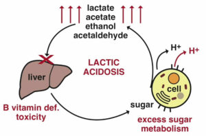lactic-acidosis