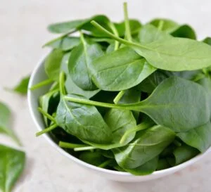 Green Leaves of spinach