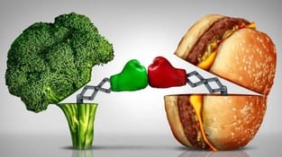 Vegetarian vs Nonvegetarian