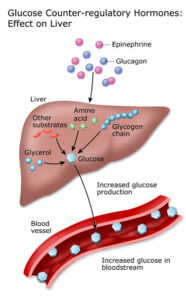 Blood Glucose process