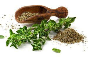 Oregano Top 10 herbs for diabetics