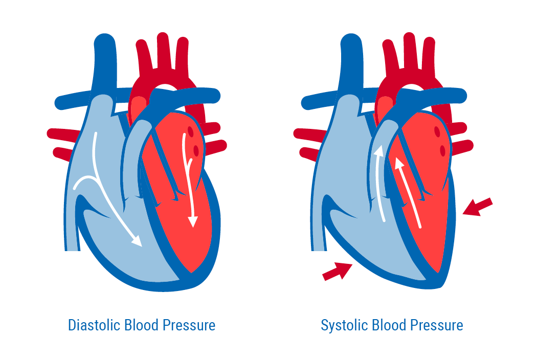 Systolic and diastolic blood pressure