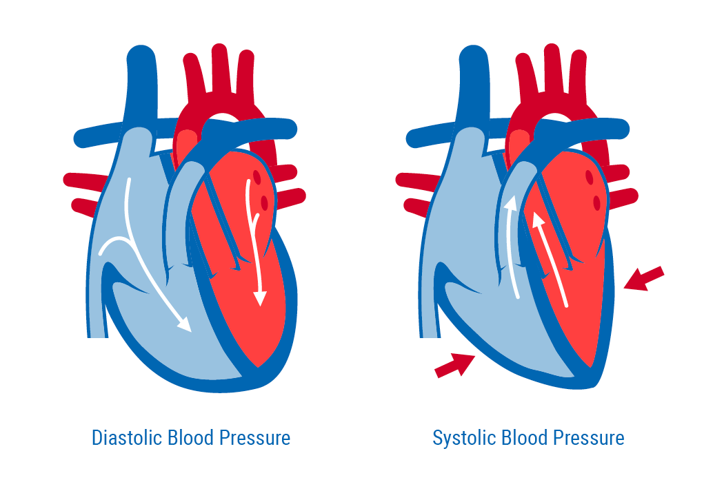 Systolic and diastolic blood pressure