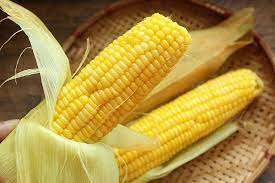 corn for diabetics