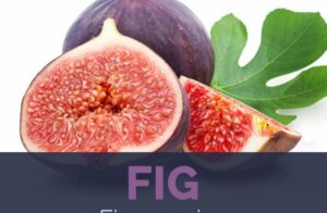 fig and diabetes
