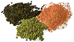 lentils for diabetics