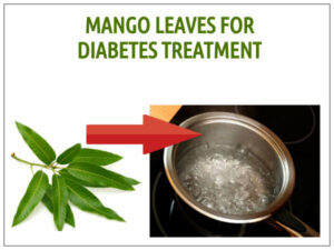 mango-leaves-for-diabetes