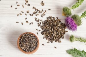 milk thistle Top 10 herbs for diabetics