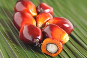 palm fruits best foods for diabetics