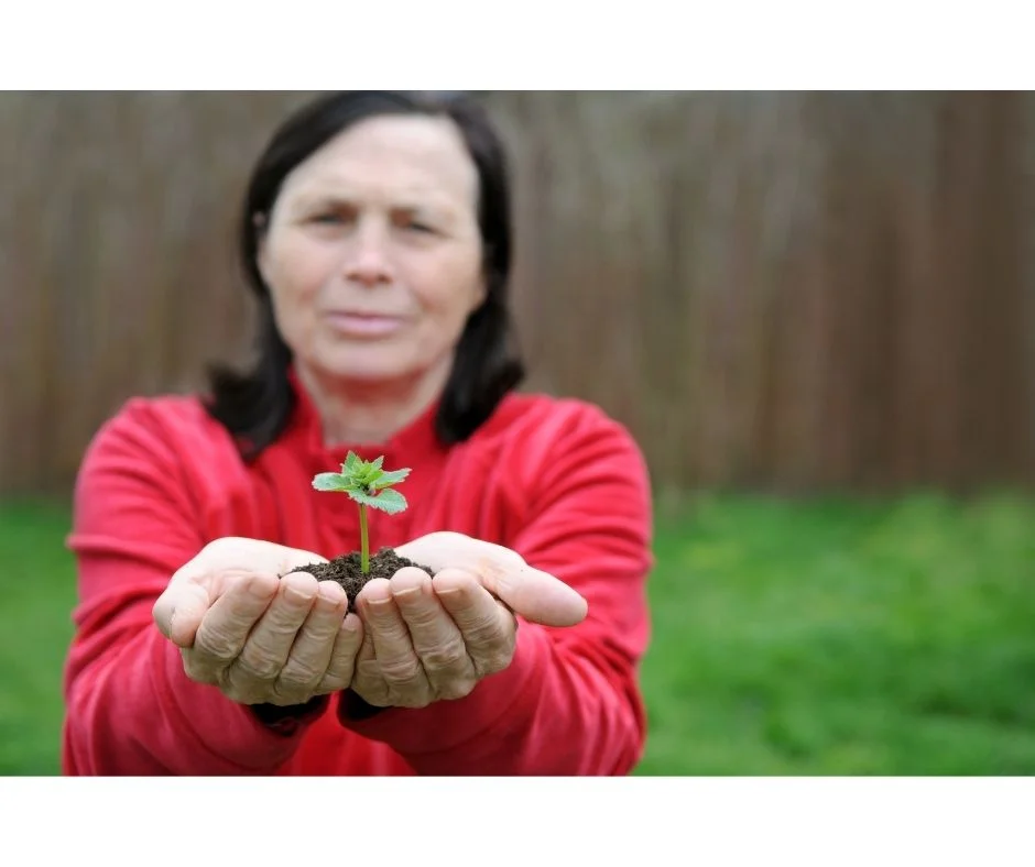 An Emphasis on Earth-Friendly Practices is Good for Business-environmental-wellness