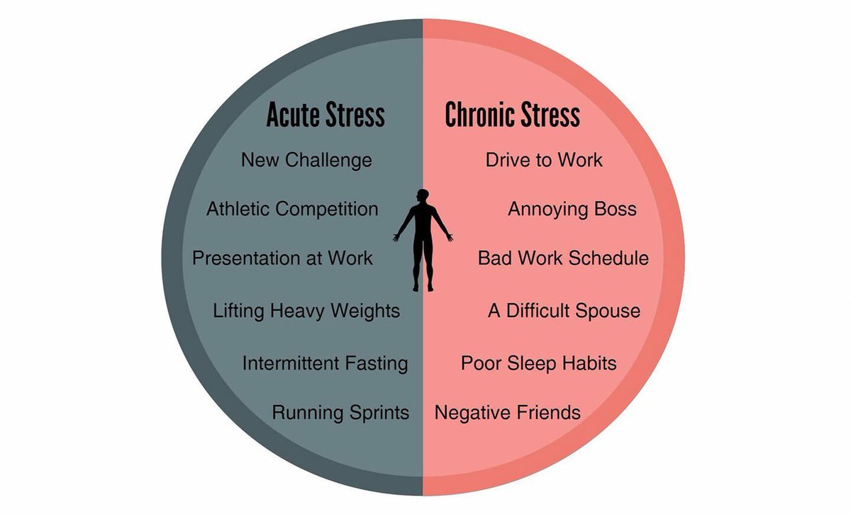 Chronic Stress vs. Acute Stress