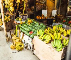 Environmental Wellness is Good for Local Businesses in Your Community 