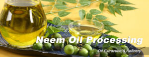 How Is Neem Oil Extracted