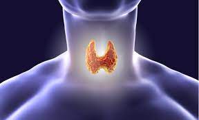 Improve Thyroid Health