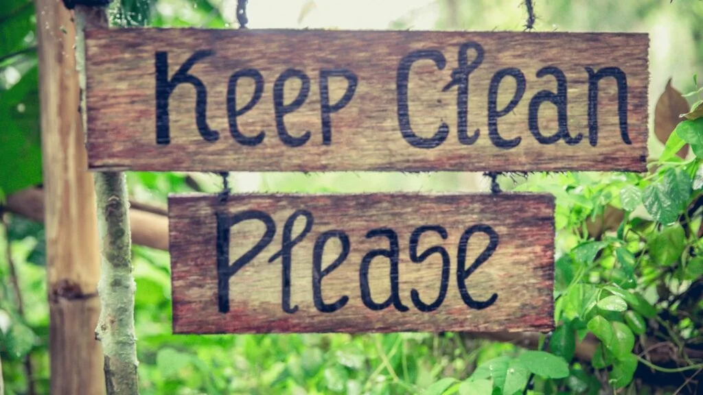 Keep Office Plants for Clean Air