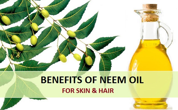 Neem Oil Uses For Every Day Activities