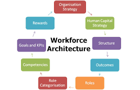 Plan the Structure