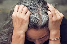 Amla For Treating Premature Greying