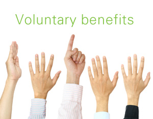 Voluntary Benefits 
