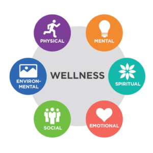 What is Wellness?