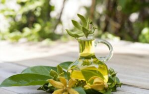 Ylang Ylang The Mighty and Magical Oil