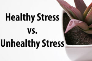 healthy and unhealthy stress in organizations