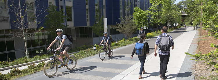 walking and biking paths:Free employee wellness programs