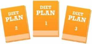 3 days diet plan