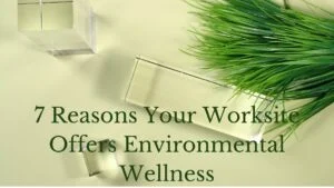 7 Reasons Your Worksite Offers Environmental Wellness