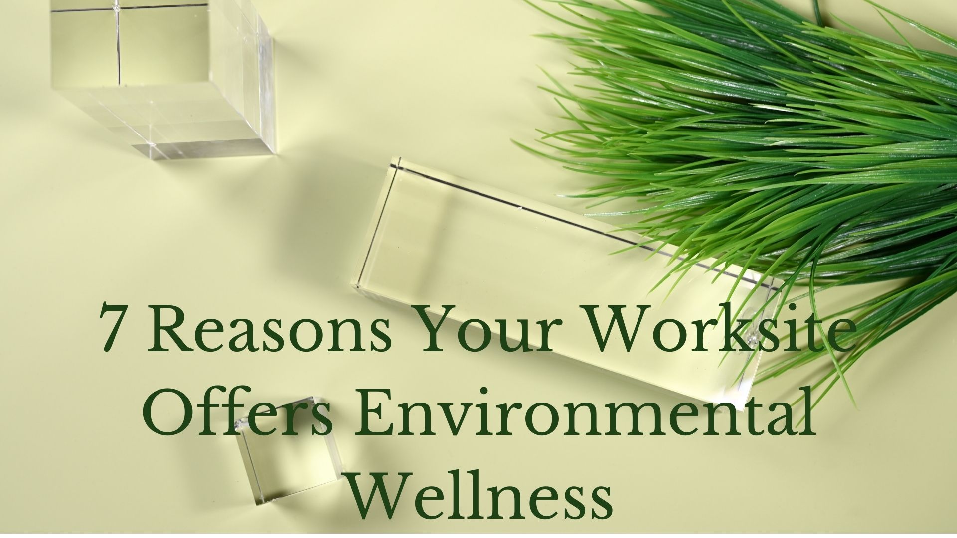 7-amazing-reasons-your-worksite-offers-environmental-wellness