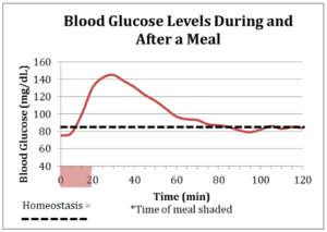 Blood sugar level before and after eating