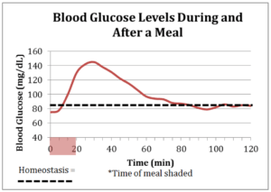 Blood Glucose Levels Chart