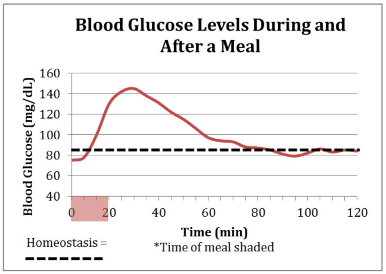 Blood Sugar Chart: How It Helps In Managing Diabetes