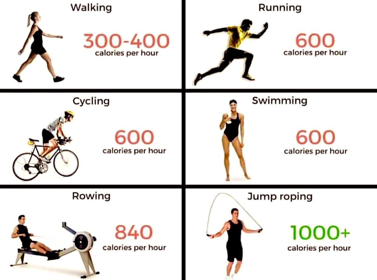 Calories Burned by Exercise or Activities