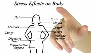 Effects- stress management