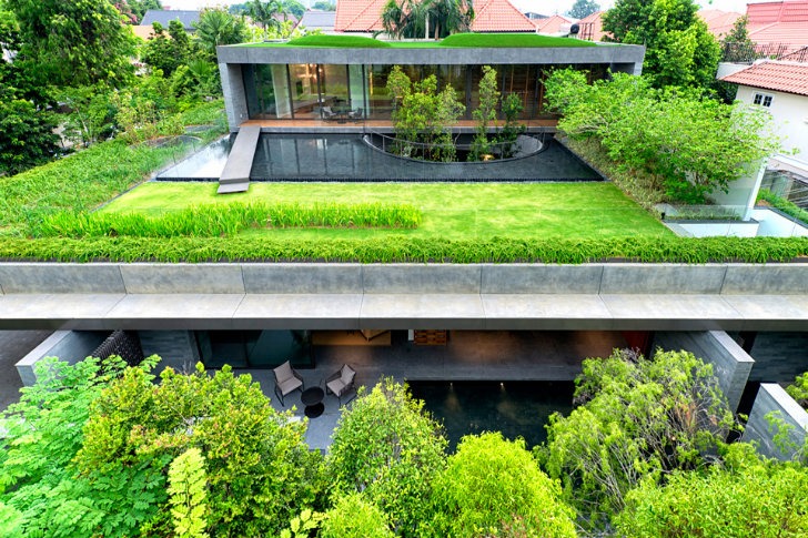 Green Roof