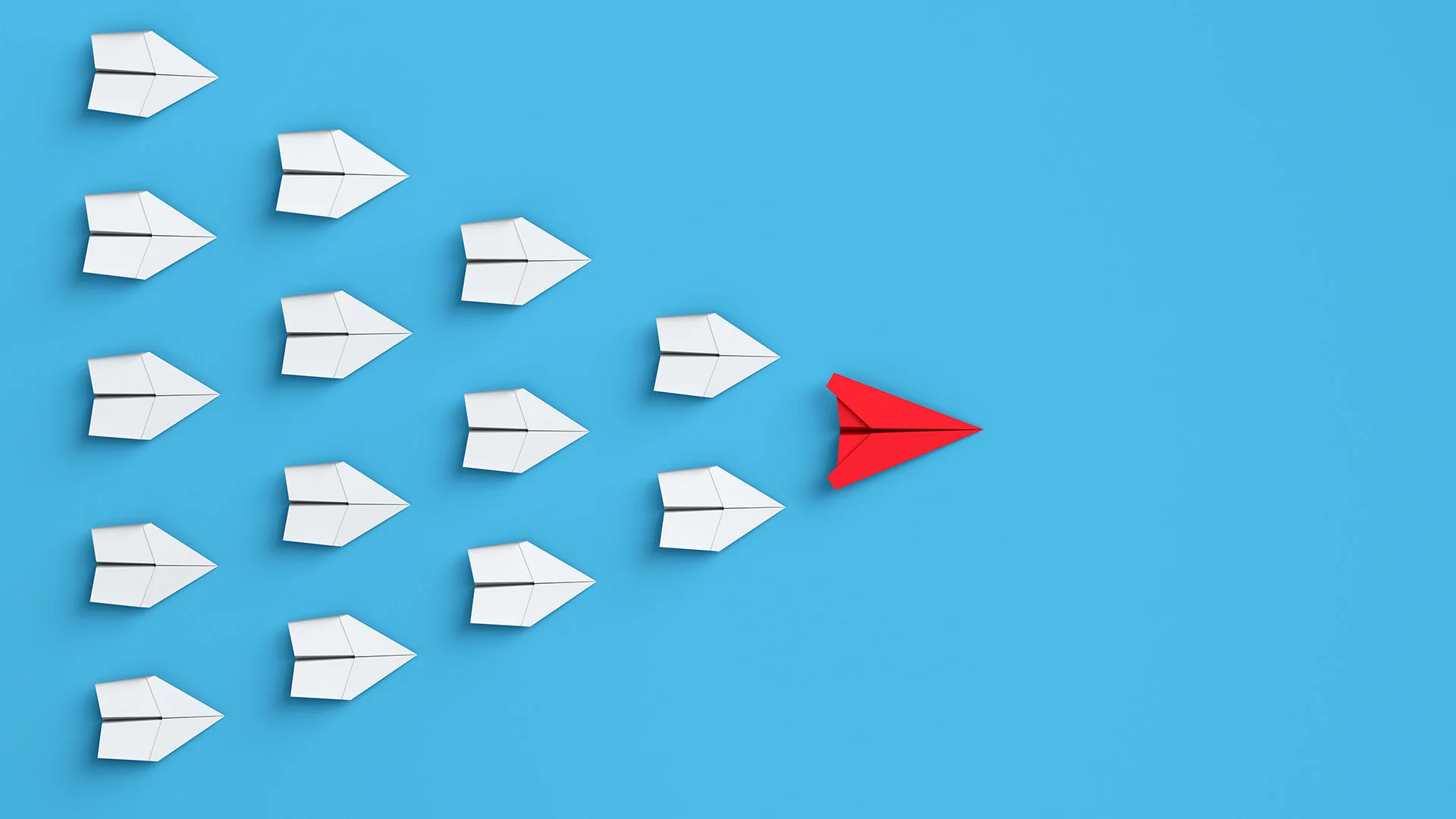 Provide Leadership