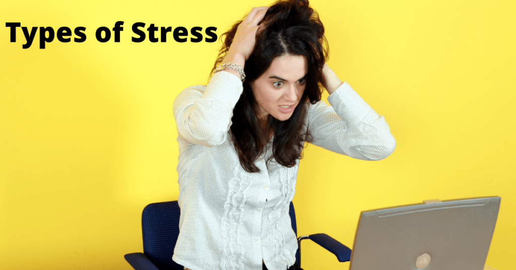 Types of Stress